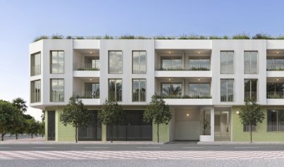 Apartment - New Build - Jacarilla -
                Jacarilla