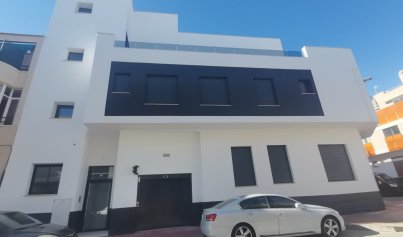 Apartment - New Build - Torrevieja -
                Torrevieja