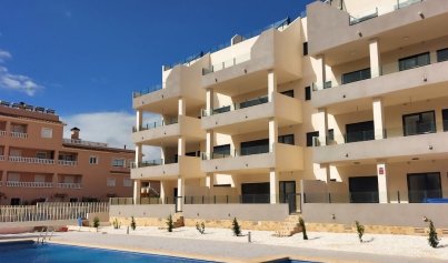 Apartment - Penthouse - New Build - Orihuela Costa -
                Los Dolses