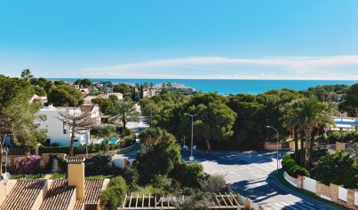 Apartment - Resale - Orihuela Costa -
                Dehesa de campoamor