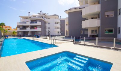 Apartment - Resale - Villamartin -
                Villamartin