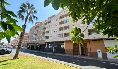 Appartement - Revente - Torrevieja -
                Centro