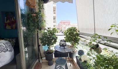 Appartement - Revente - Torrevieja -
                Centro