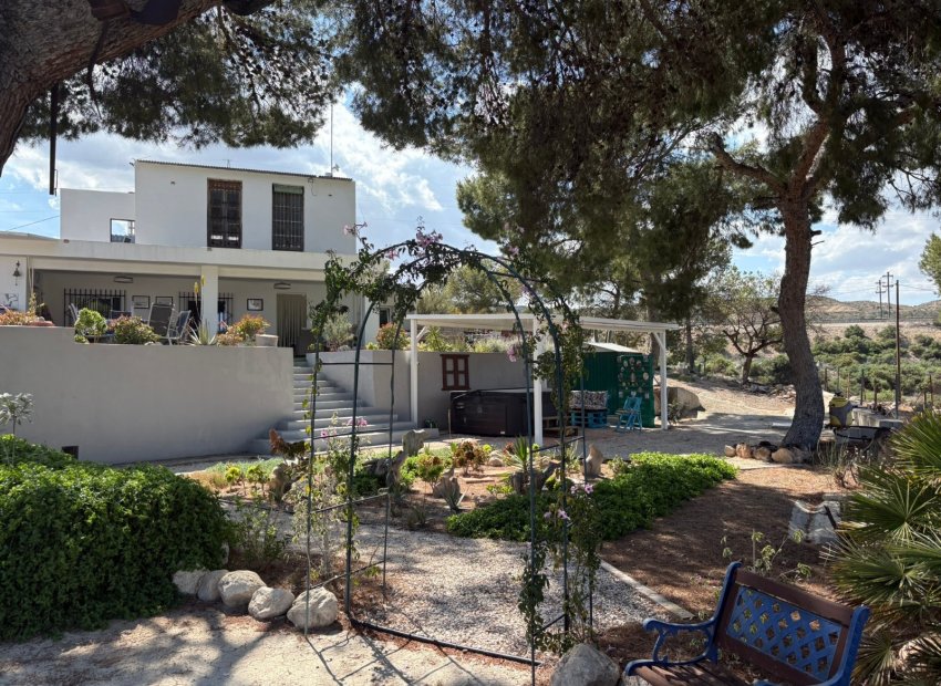 Återförsäljning - Country house -
Elche