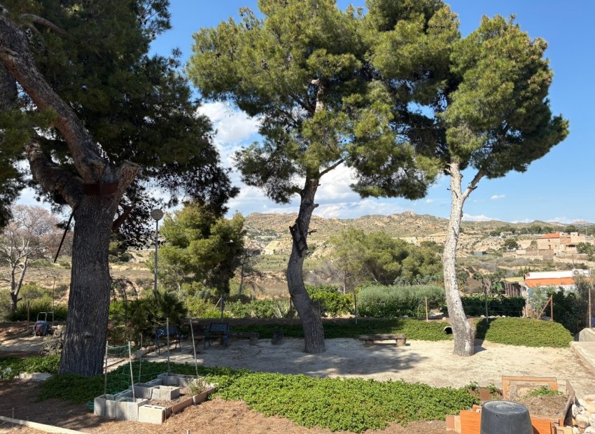 Återförsäljning - Country house -
Elche