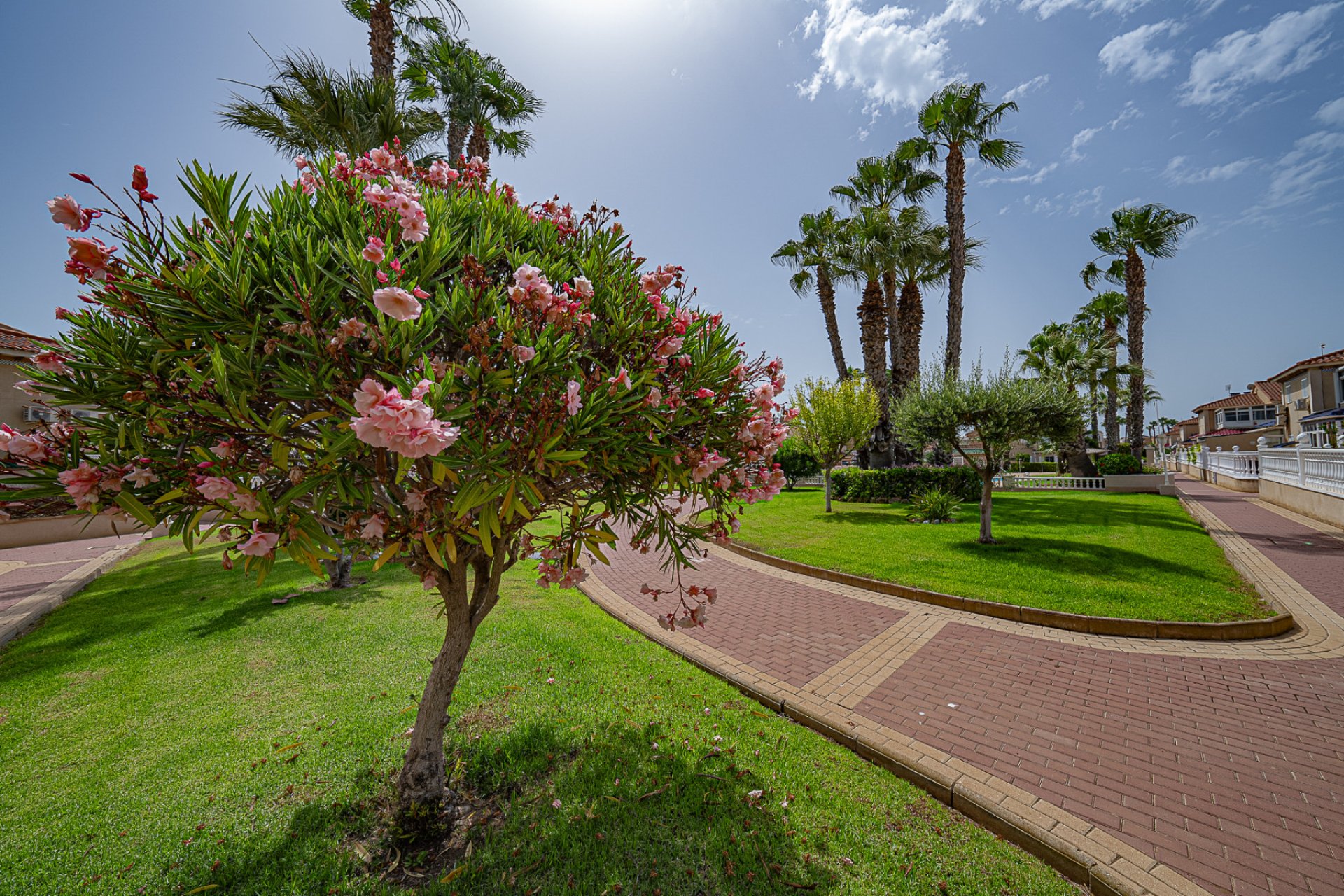 Återförsäljning - Lägenhet -
Playa Flamenca - Zenia Mar