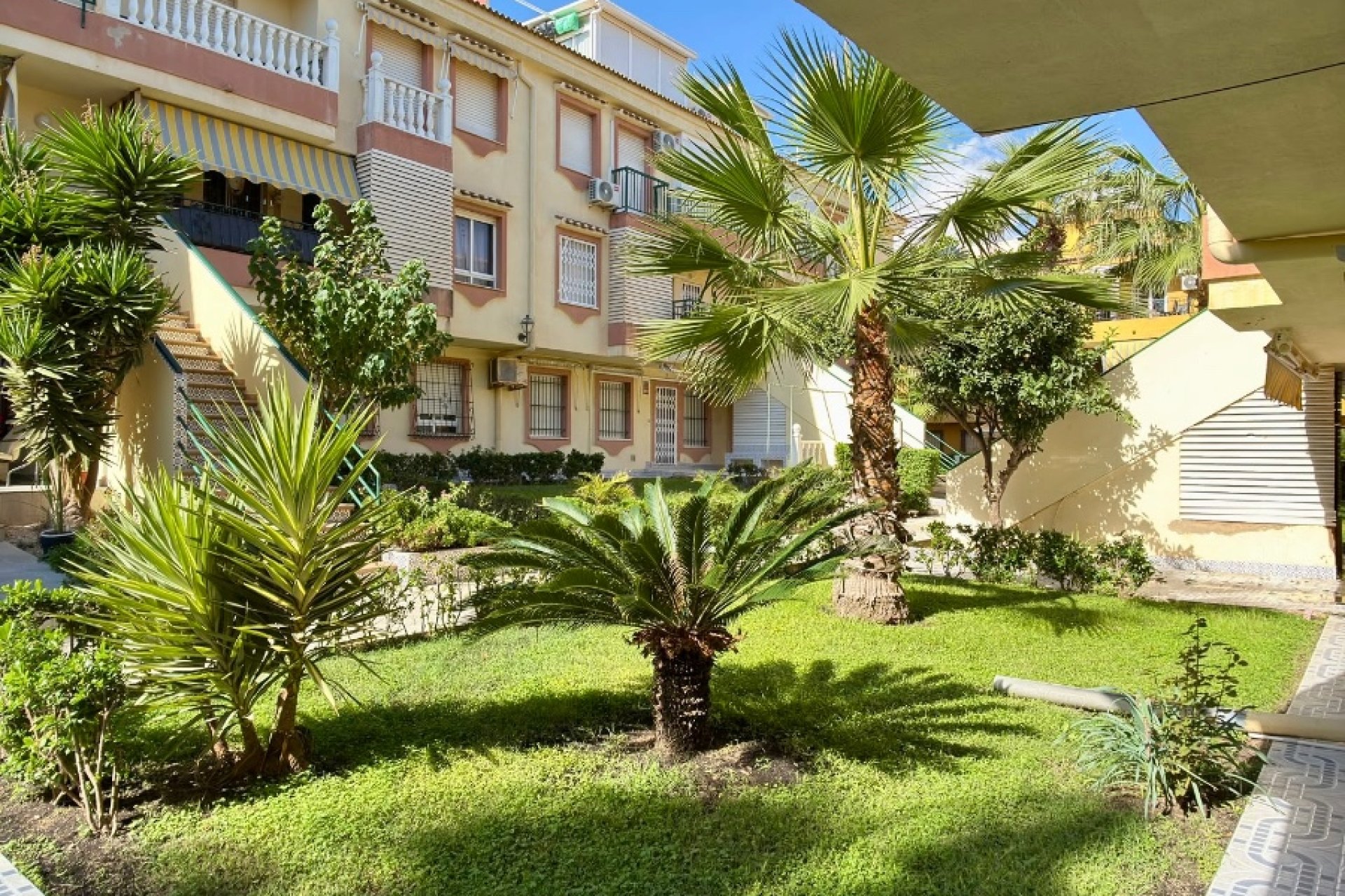 Återförsäljning - Lägenhet -
Torrevieja - La Veleta