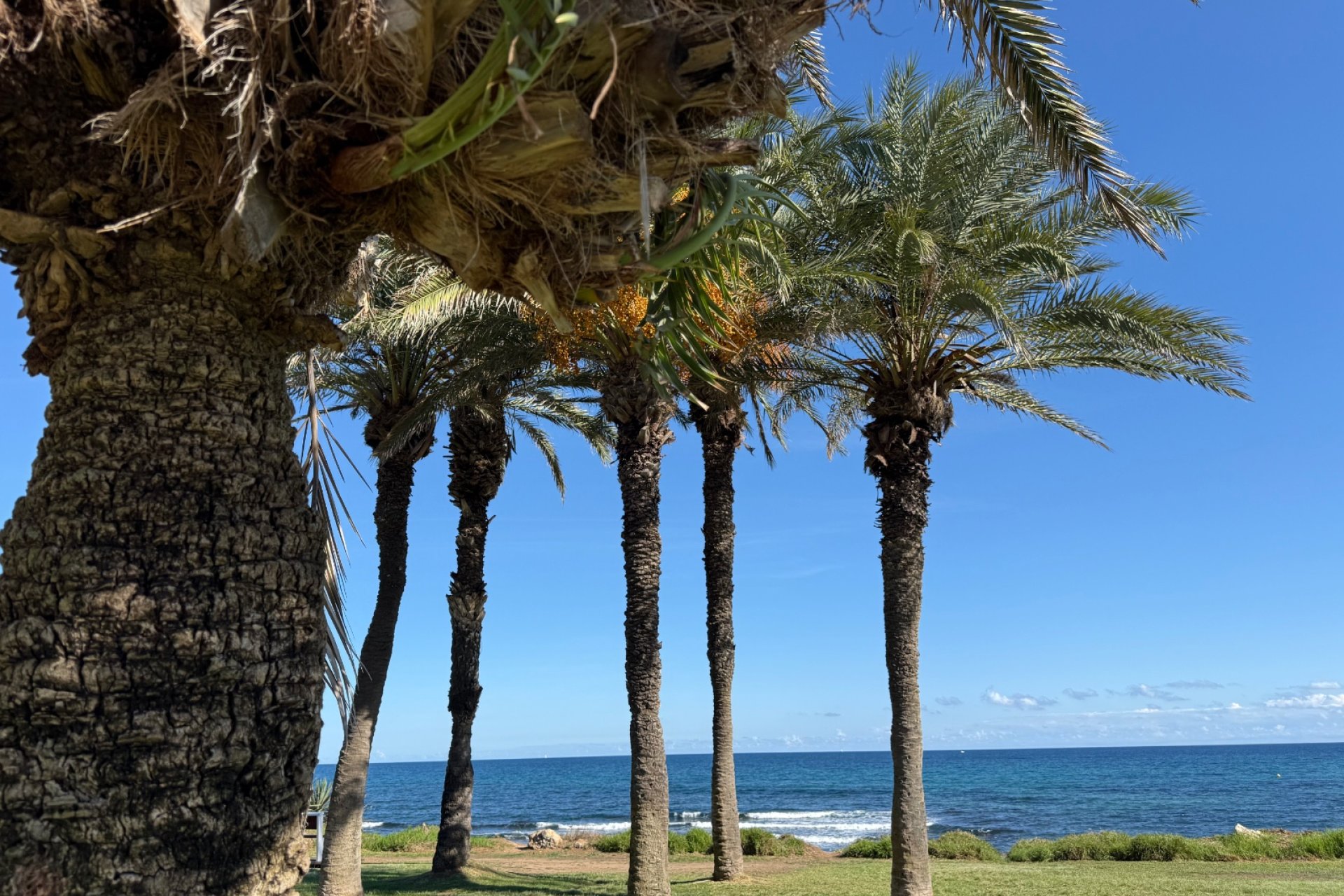 Återförsäljning - Lägenhet -
Torrevieja - La Veleta
