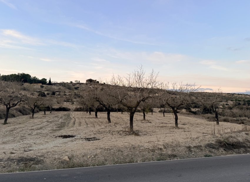 Återförsäljning - Plot -
Torremendo - Costa Blanca