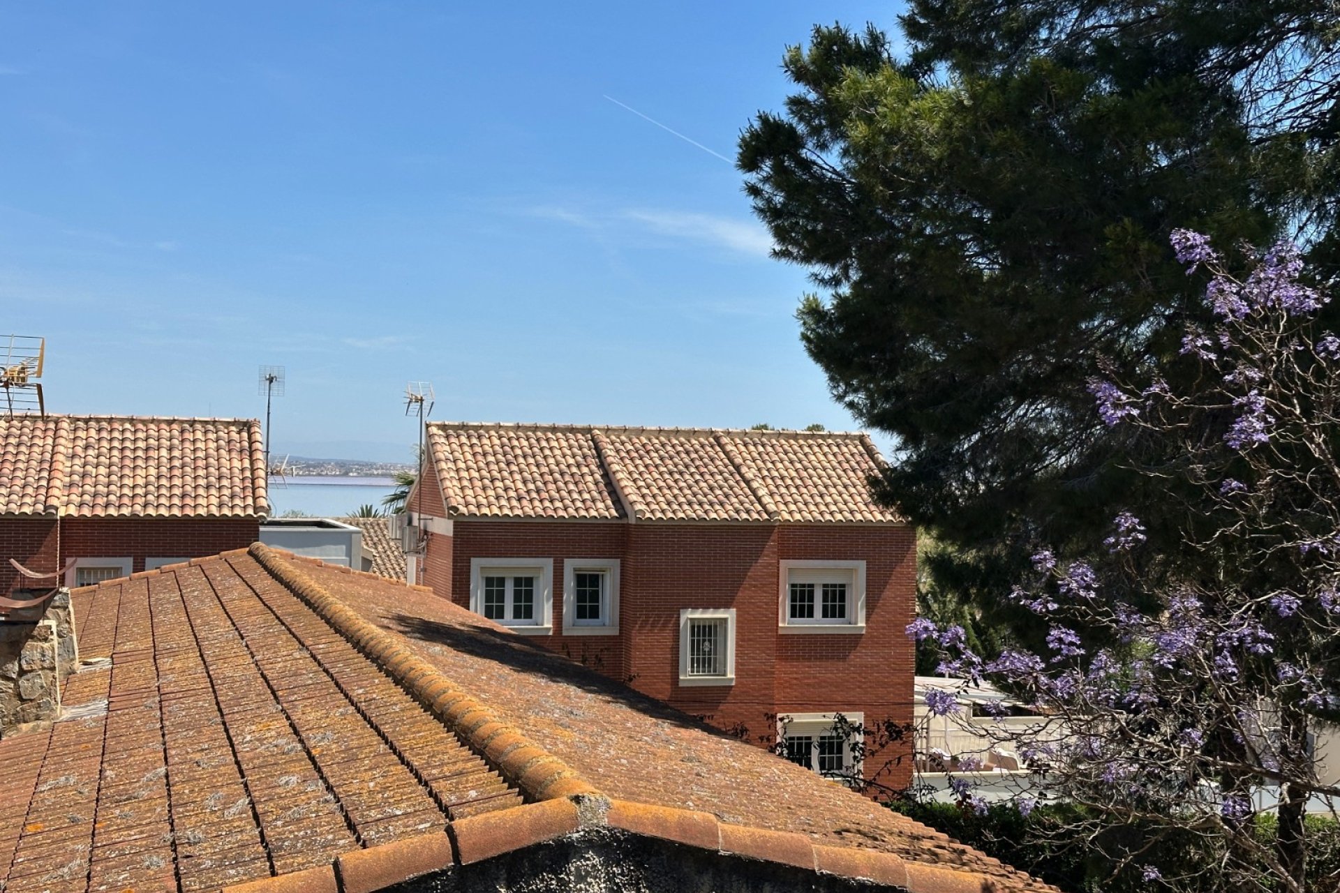 Återförsäljning - Villa -
Torrevieja - Los Balcones - Los Altos del Edén