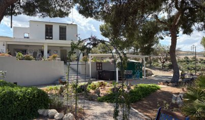 Country house - Herverkoop - Elche -
                Elche