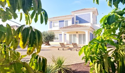 detached - New Build - Purias -
                Purias