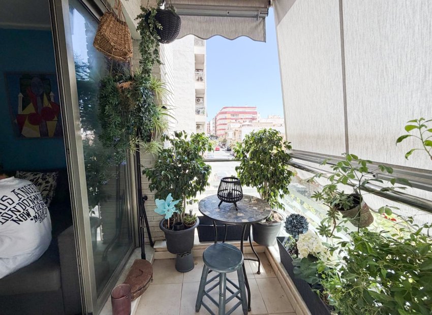 Herverkoop - Appartement / flat -
Torrevieja - Centro