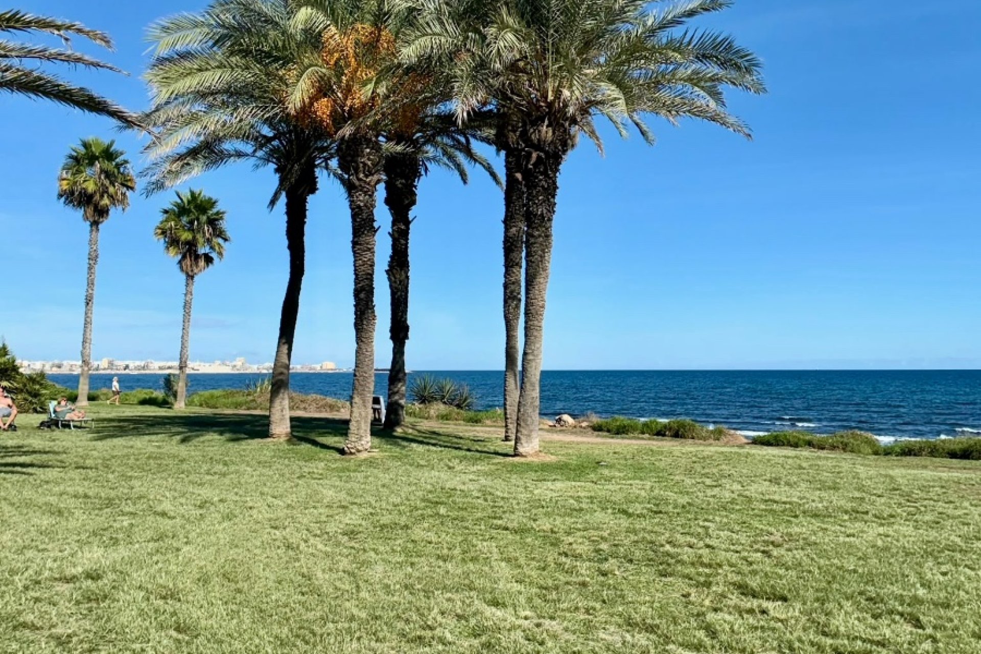 Herverkoop - Appartement / flat -
Torrevieja - La Veleta