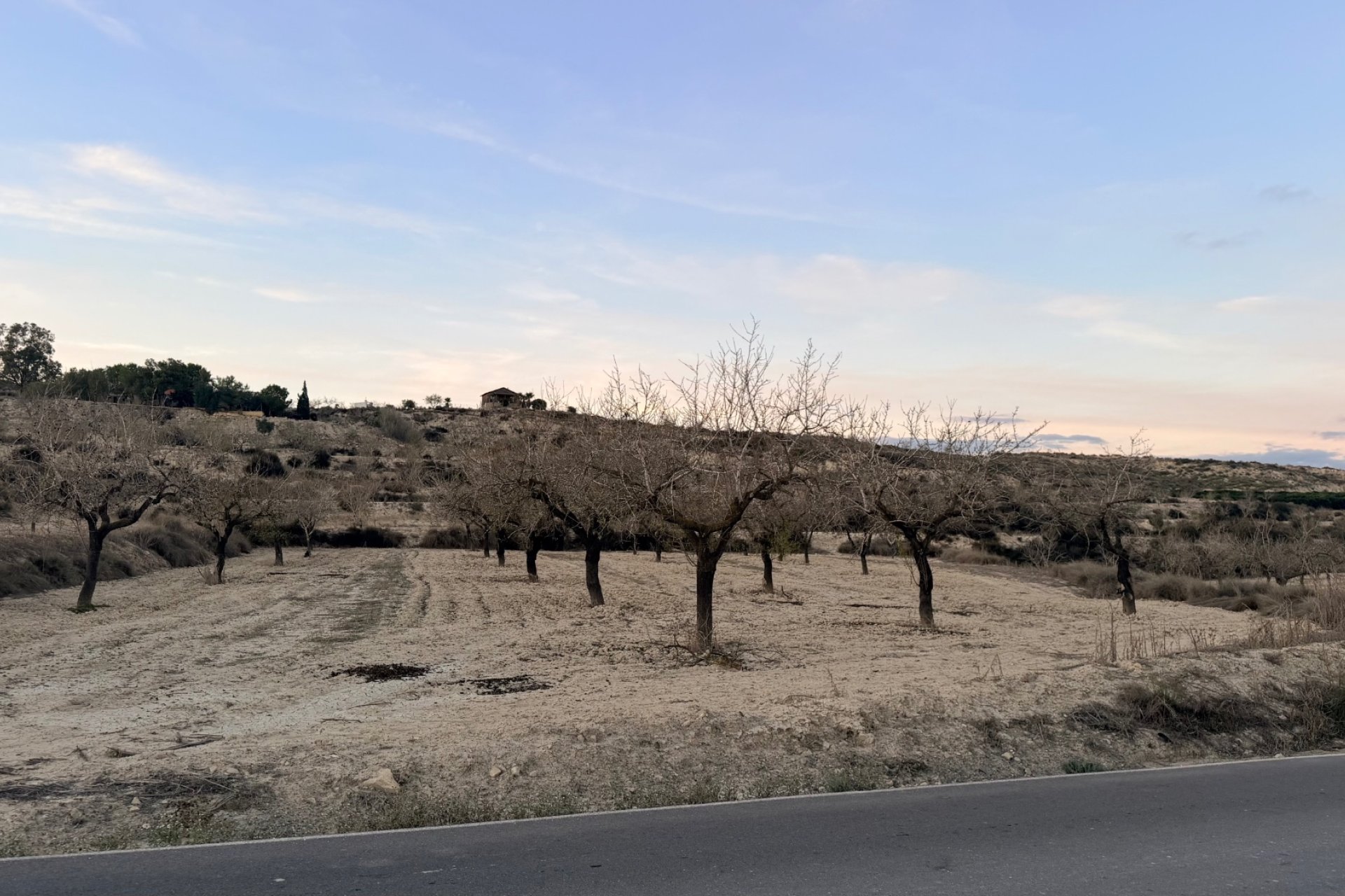 Herverkoop - Plot -
Torremendo - Costa Blanca