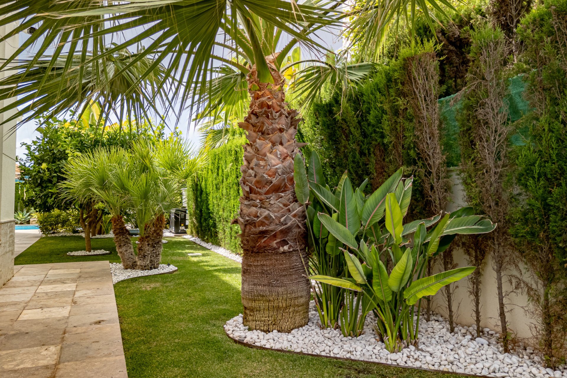 Herverkoop - Villa -
La Zenia - Beachside