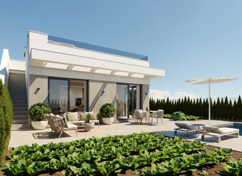 Neue Gebäude - Villa -
Hacienda del Alamo Golf