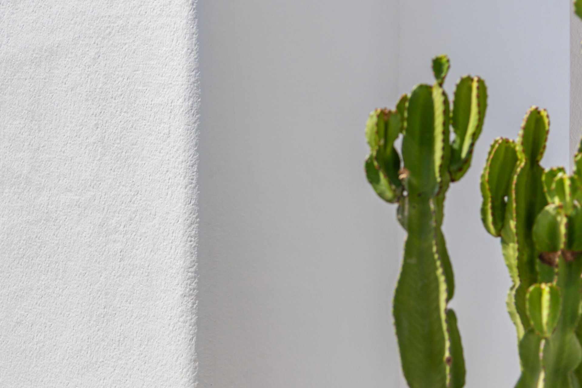 Neue Gebäude - Villa -
Los Alcazares