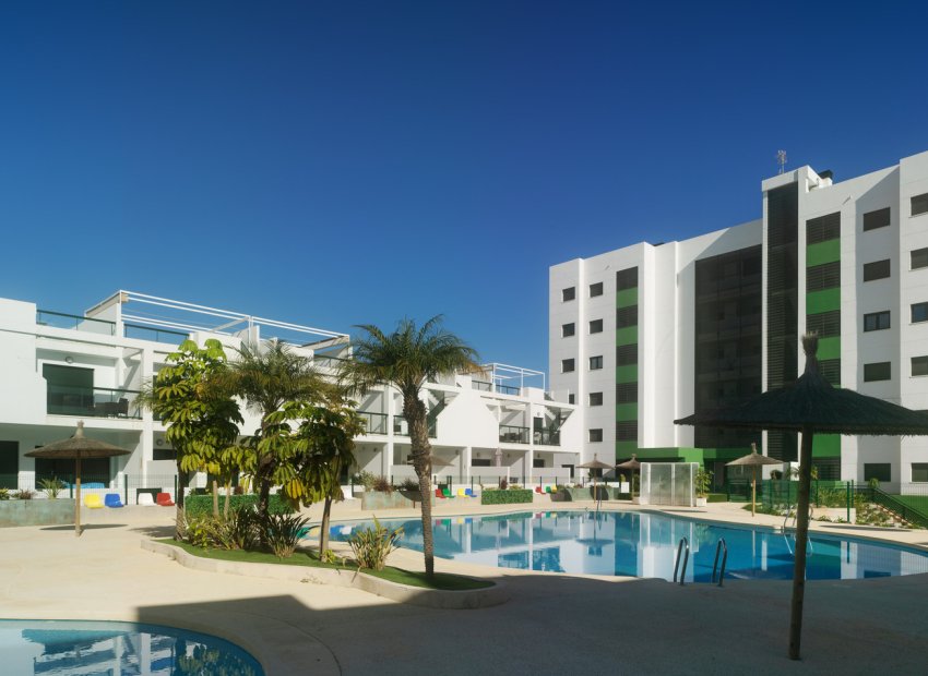 Neue Gebäude - Wohnung -
Mil Palmeras