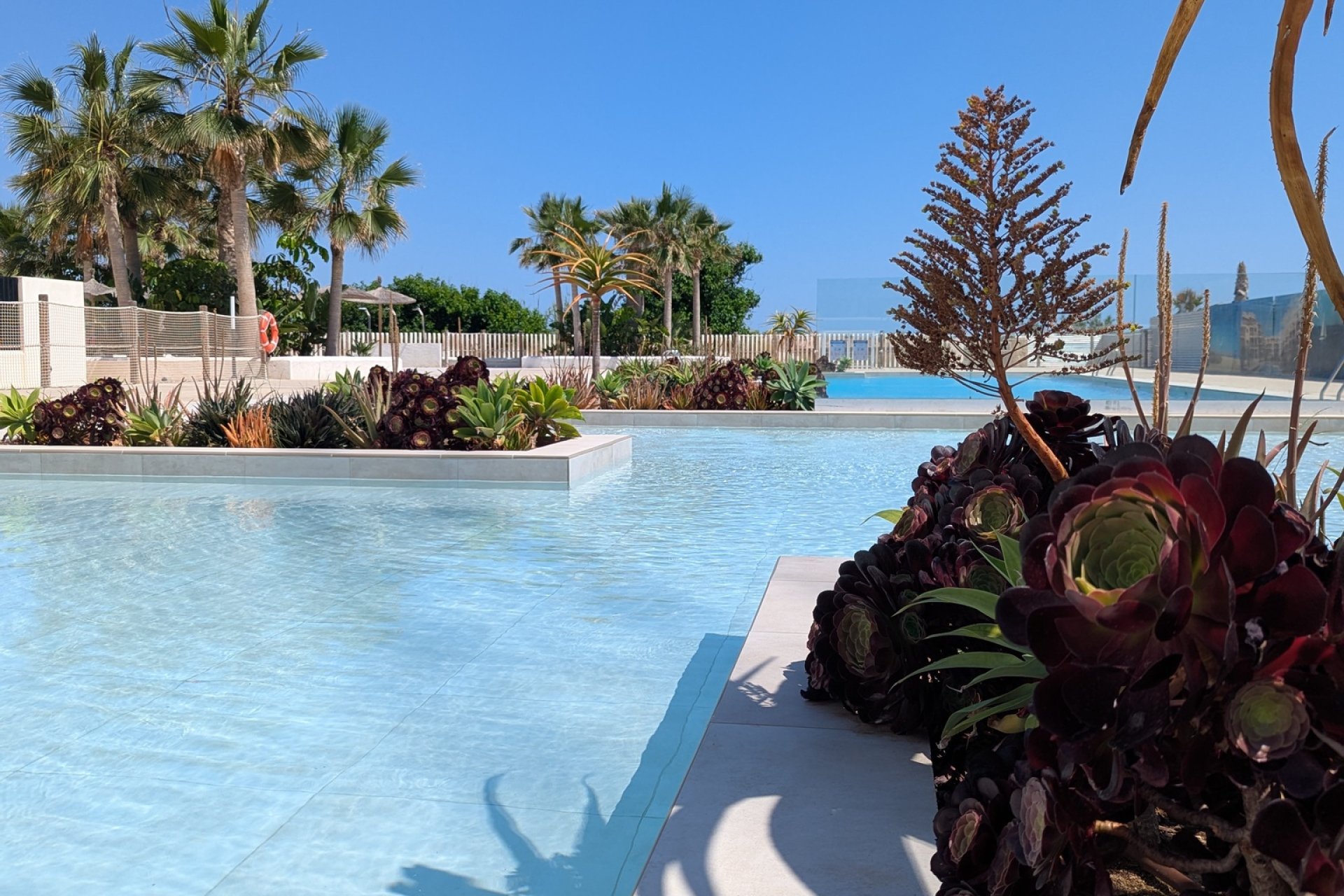 New Build - Apartment -
Denia - Dénia