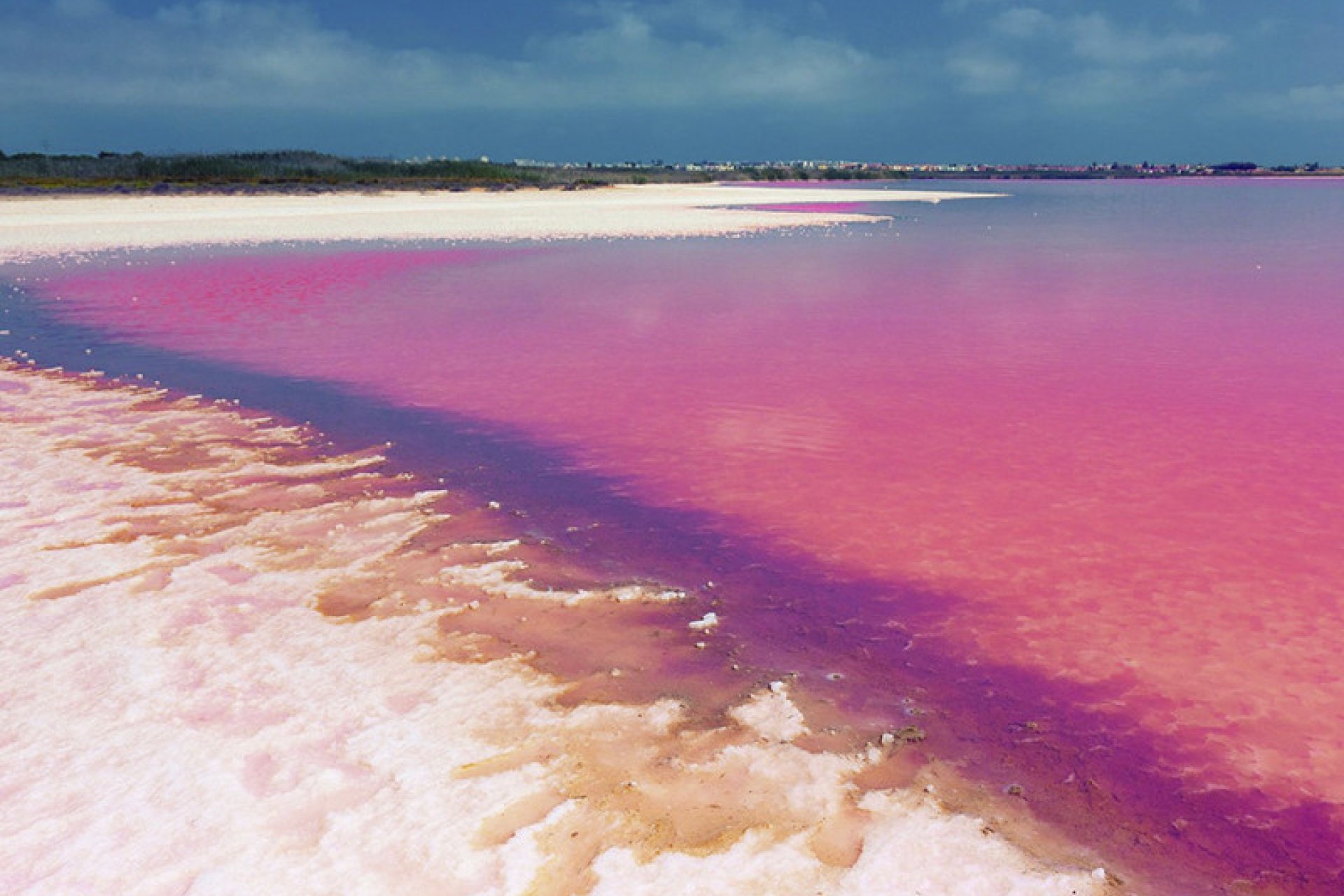 New Build - Apartment -
Los Balcones - Los Balcones - Los Altos del Edén