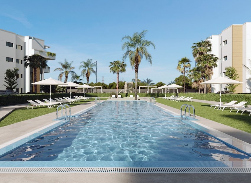 New Build - Apartment -
Torre Pacheco - Torre-Pacheco