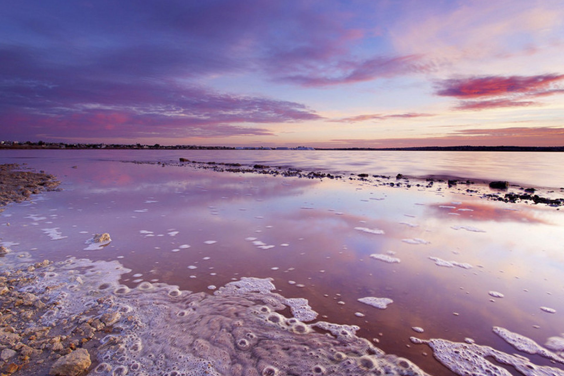 New Build - Apartment -
Torrevieja - Los Balcones