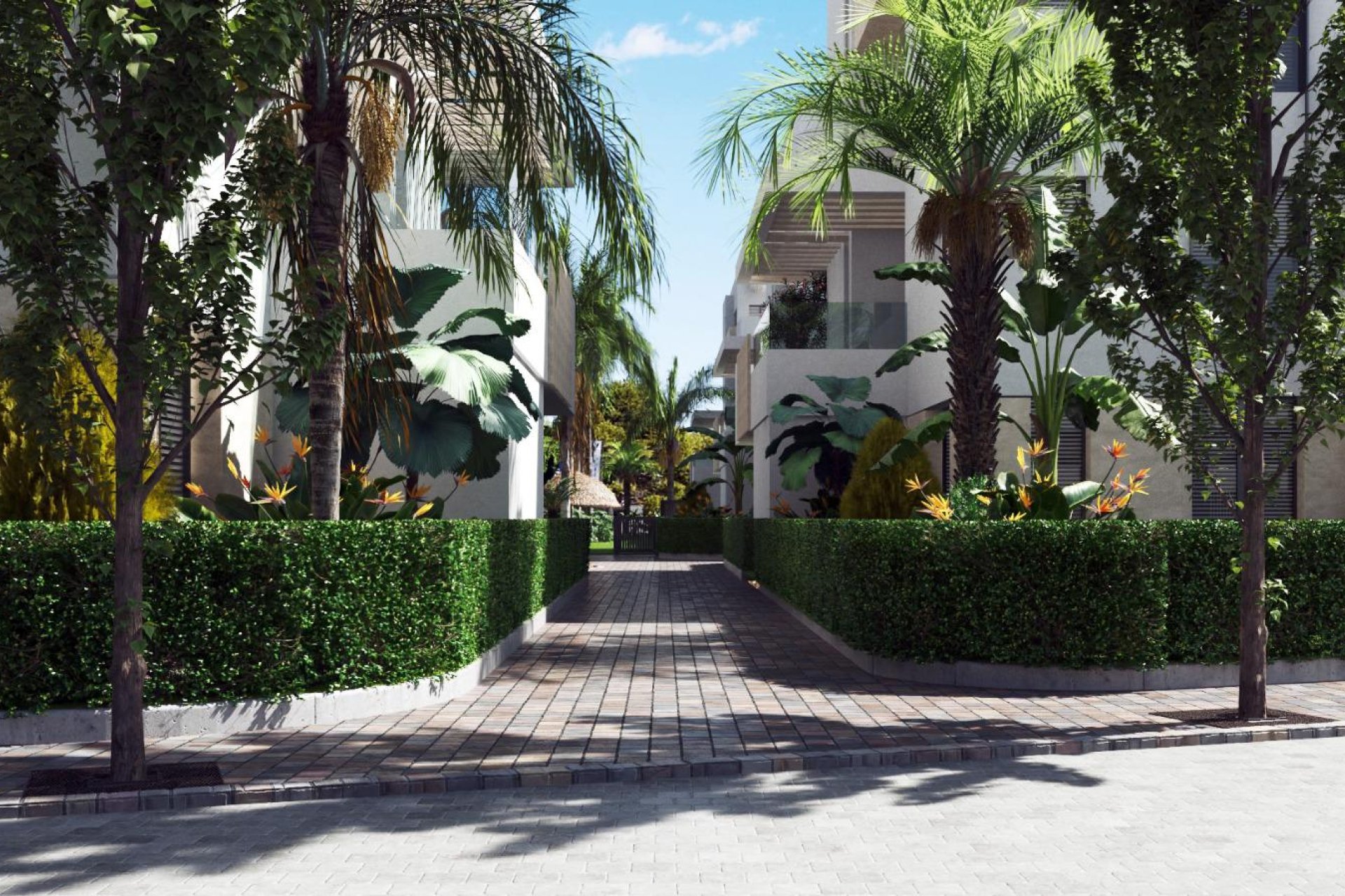 New Build - Penthouse -
Torre Pacheco - Torre-Pacheco