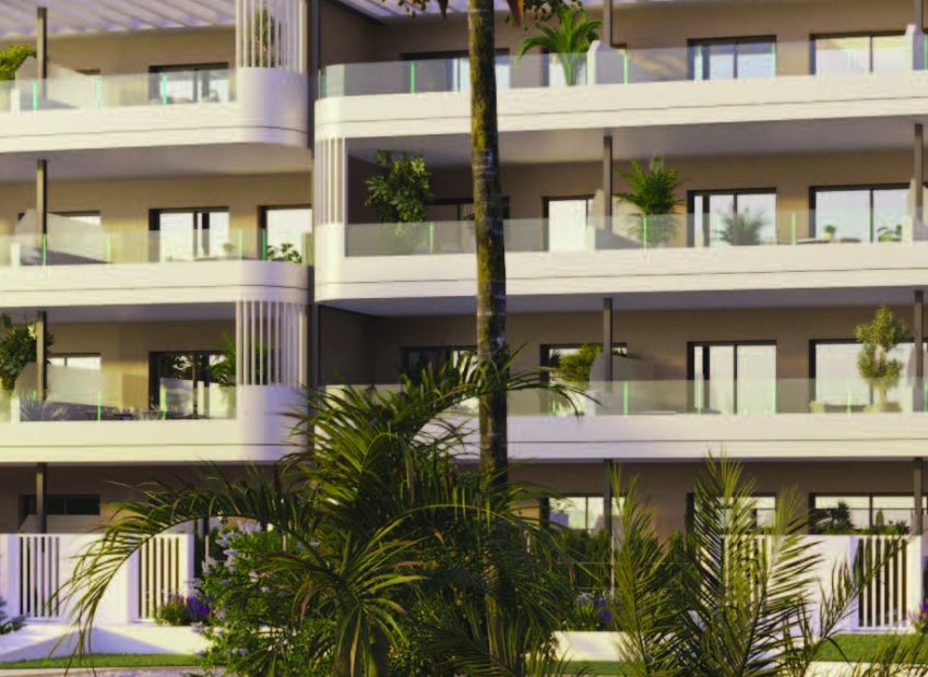 New Build - Penthouse -
Torrevieja