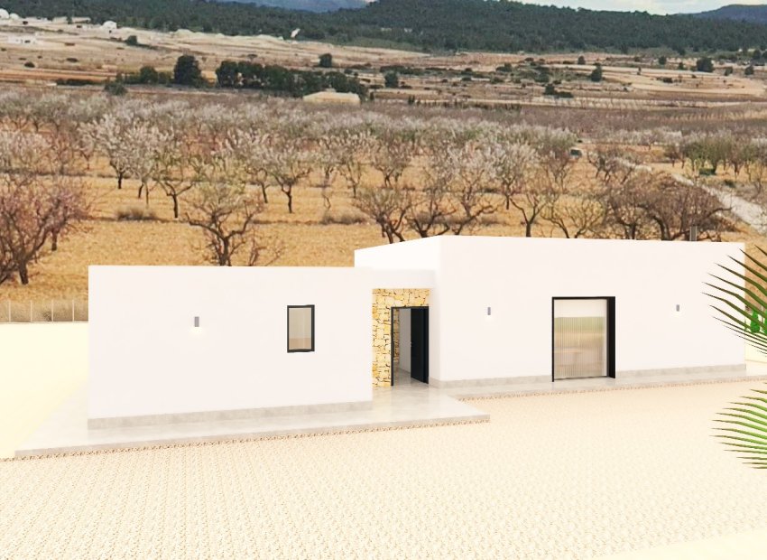 New Build - Villa -
Pinoso