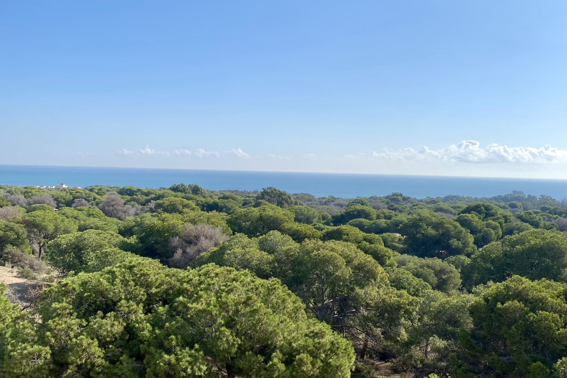 Nouvelle construction - Appartement -
Guardamar del Segura