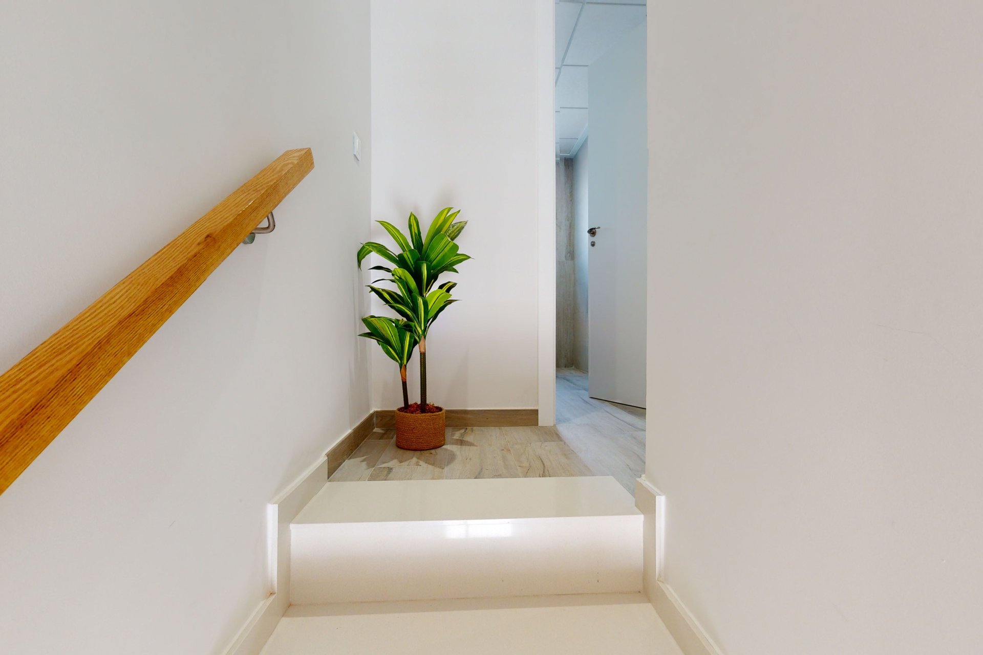 Nouvelle construction - Appartement -
Pilar de la Horadada