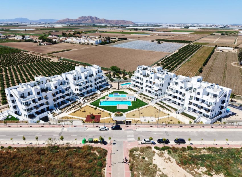 Nouvelle construction - Appartement -
Santa Rosalía