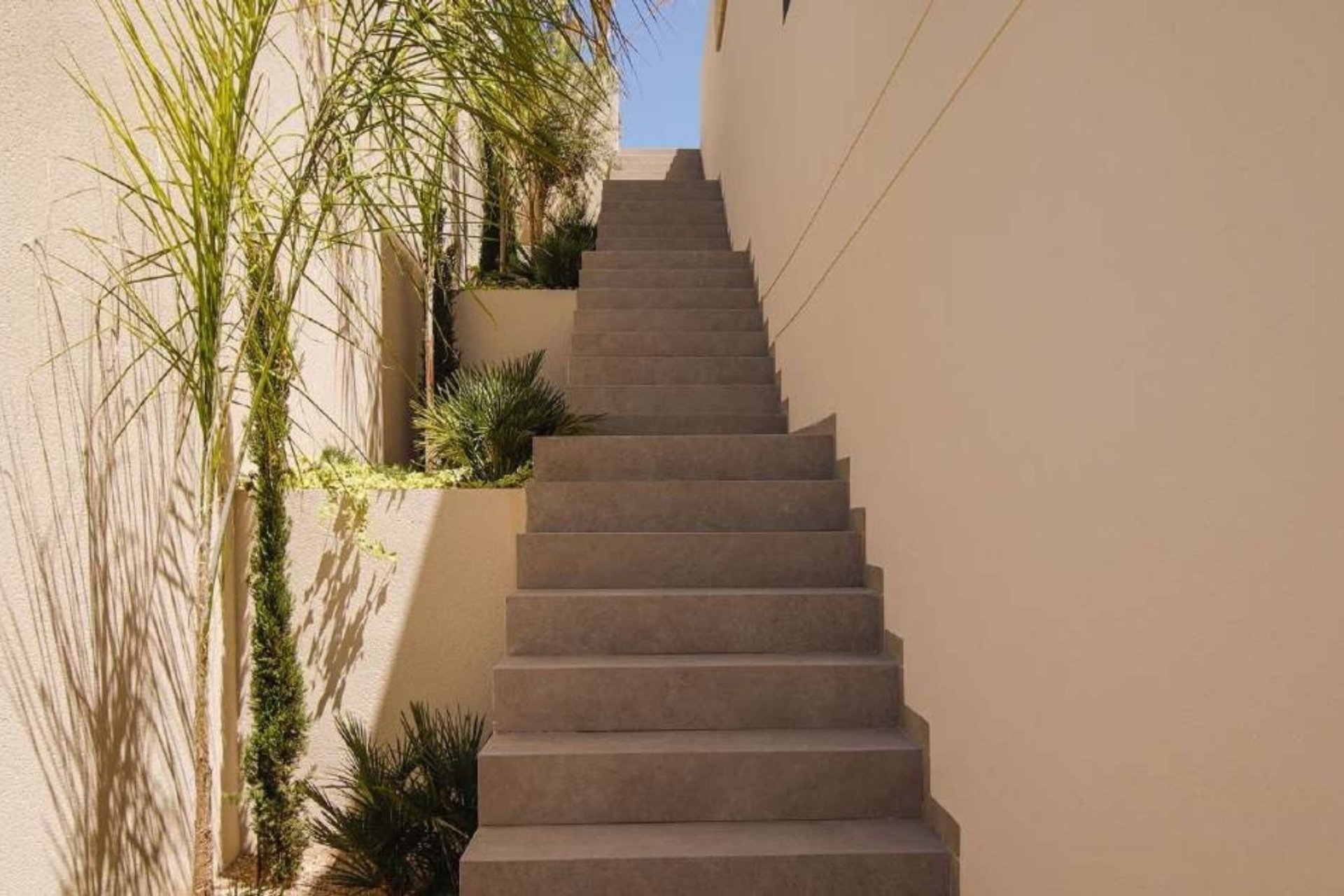 Nouvelle construction - Villa -
La Marina