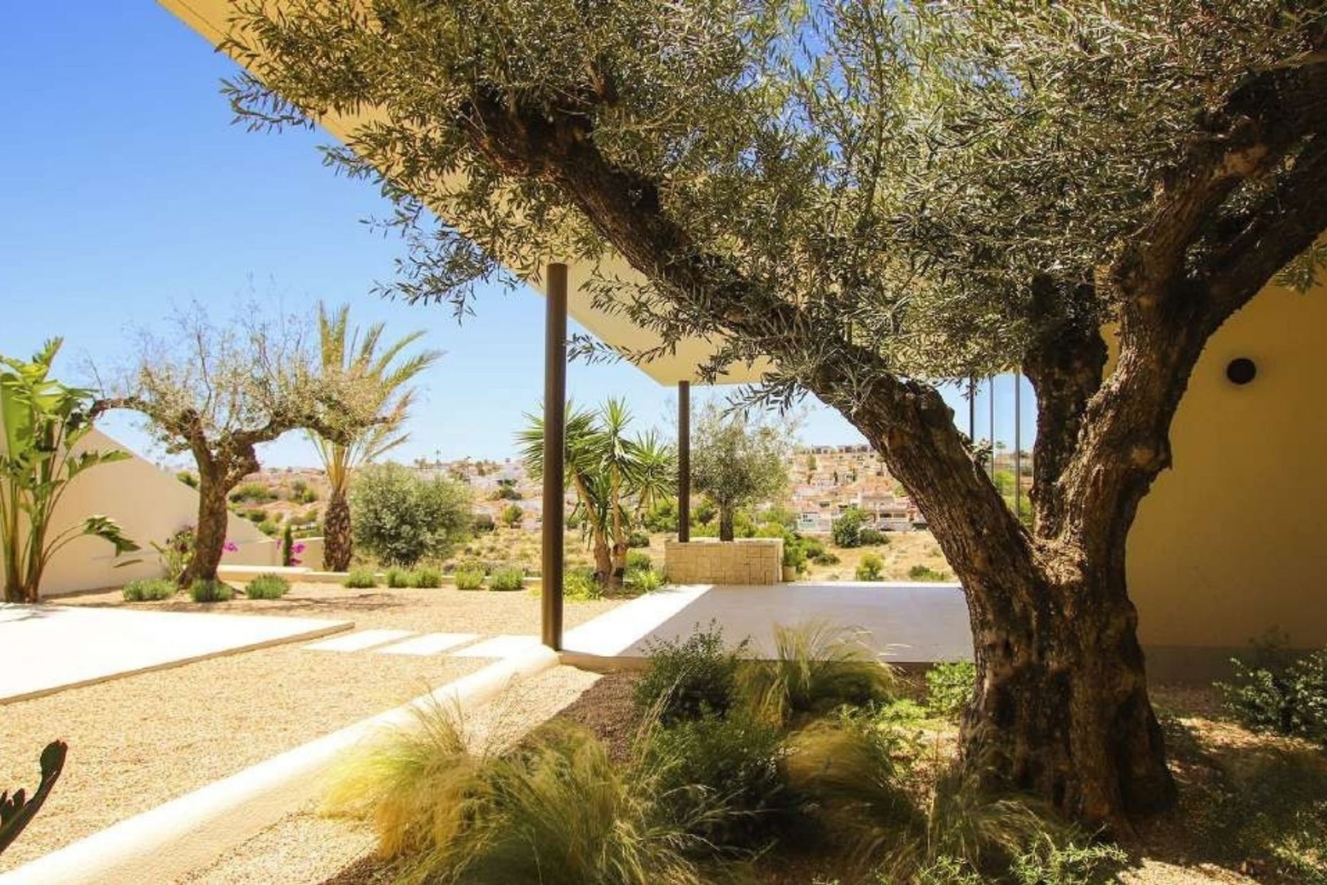 Nouvelle construction - Villa -
La Marina