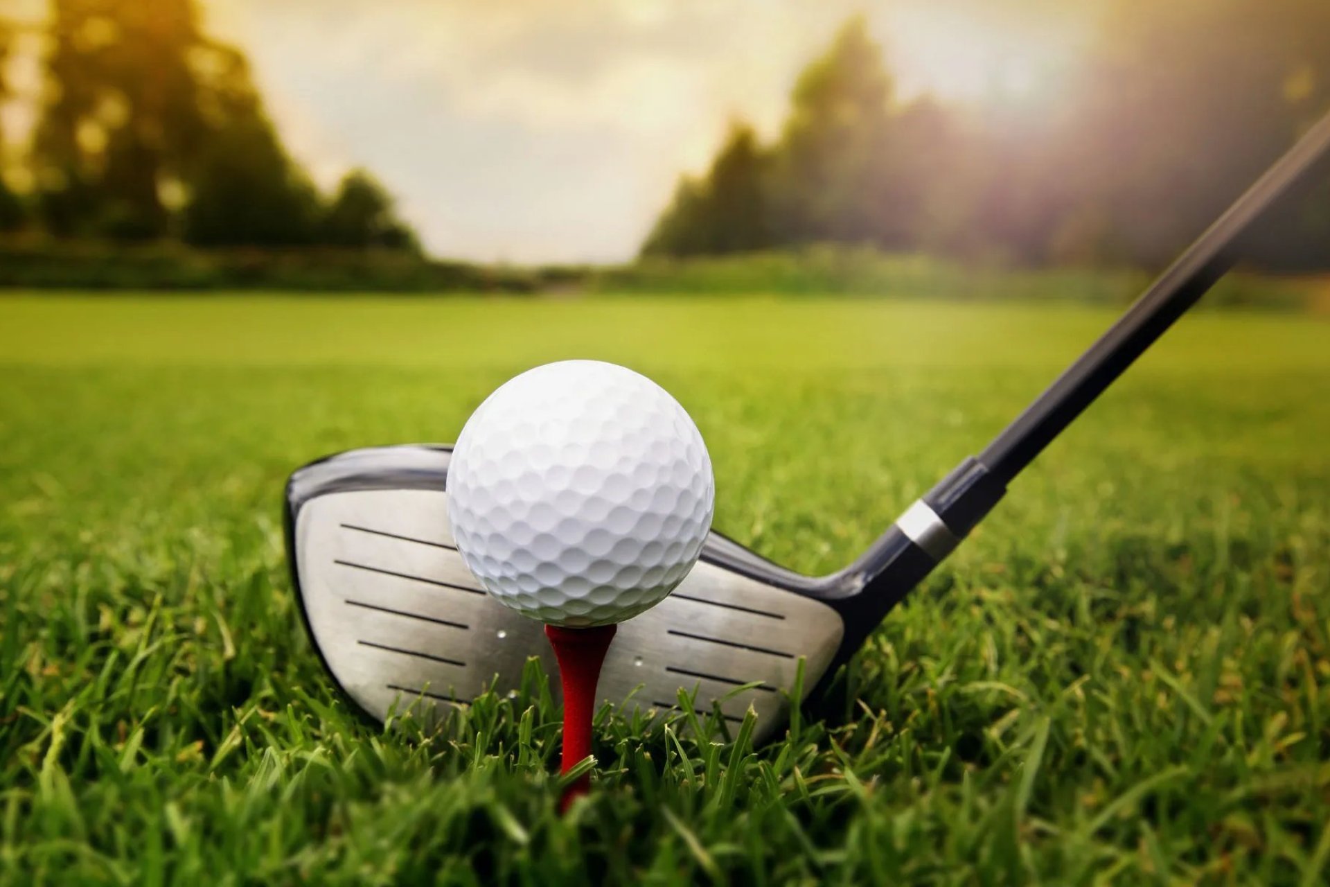 Nouvelle construction - Villa -
San Pedro del Pinatar