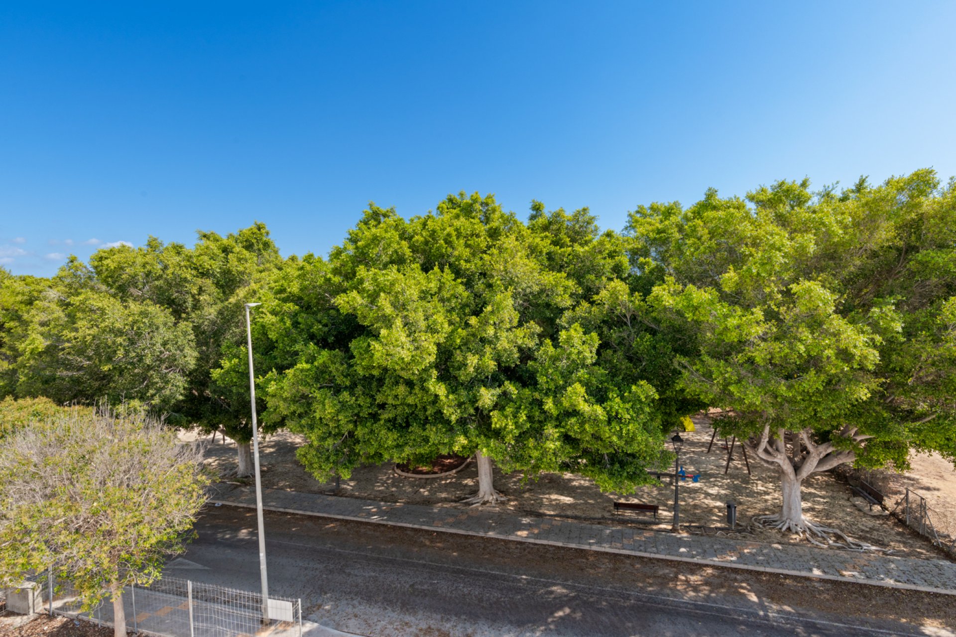 Nybyggnation - Villa -
Mil Palmeras