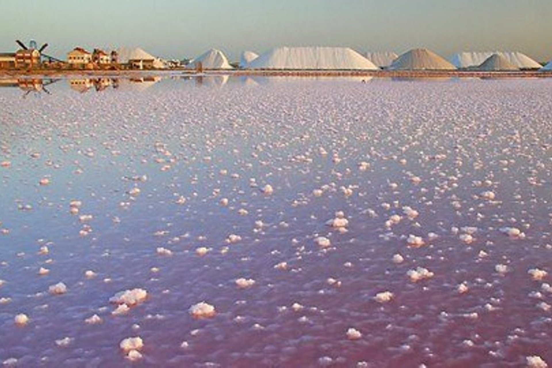 Nybyggnation - Villa -
Orihuela Costa - Las Colinas Golf