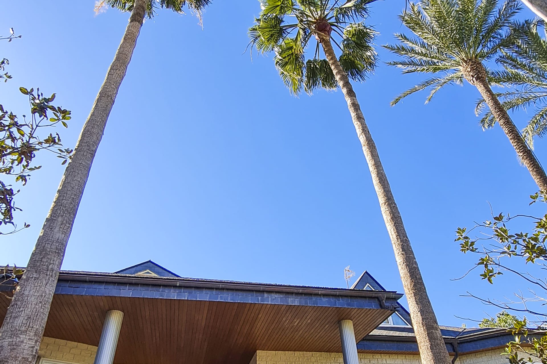 Nybyggnation - Villa -
San Pedro del Pinatar