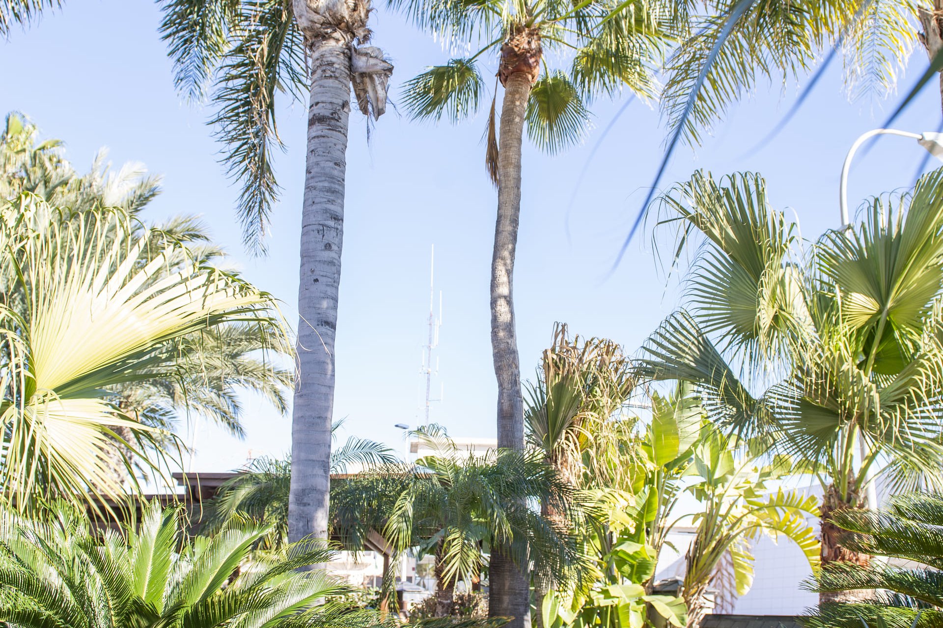 Nybyggnation - Villa -
San Pedro del Pinatar