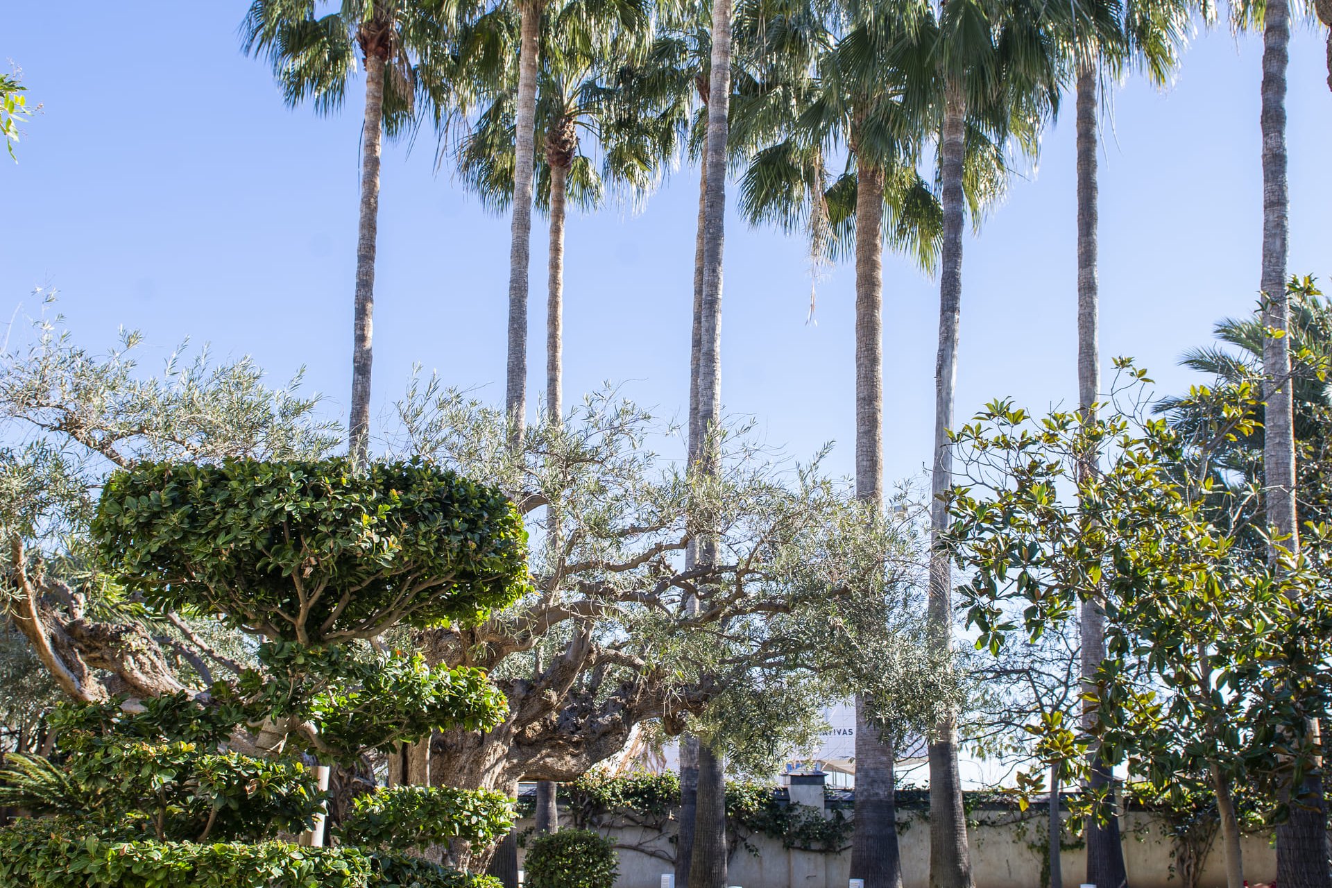 Nybyggnation - Villa -
San Pedro del Pinatar