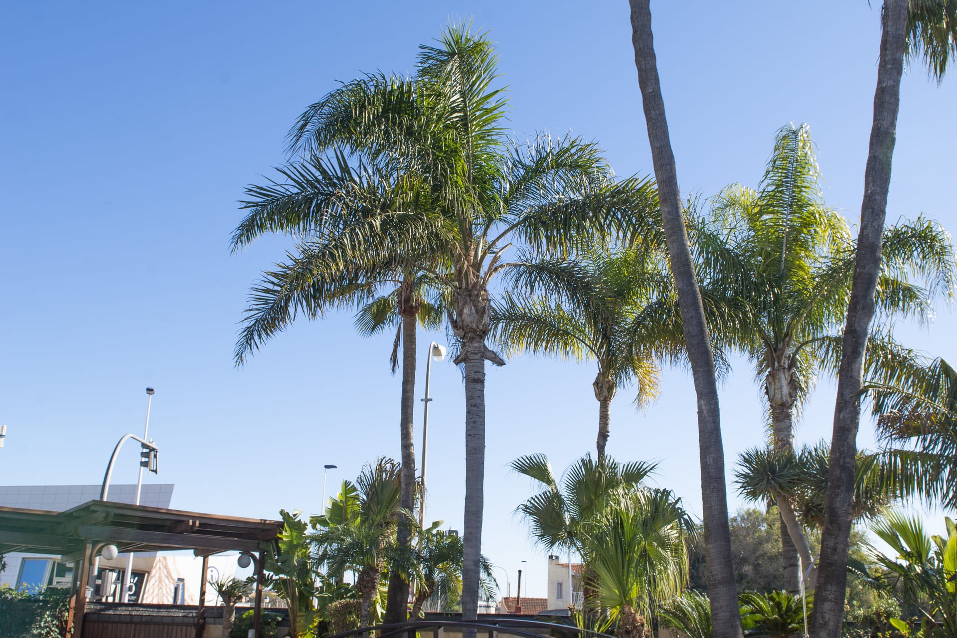 Nybyggnation - Villa -
San Pedro del Pinatar