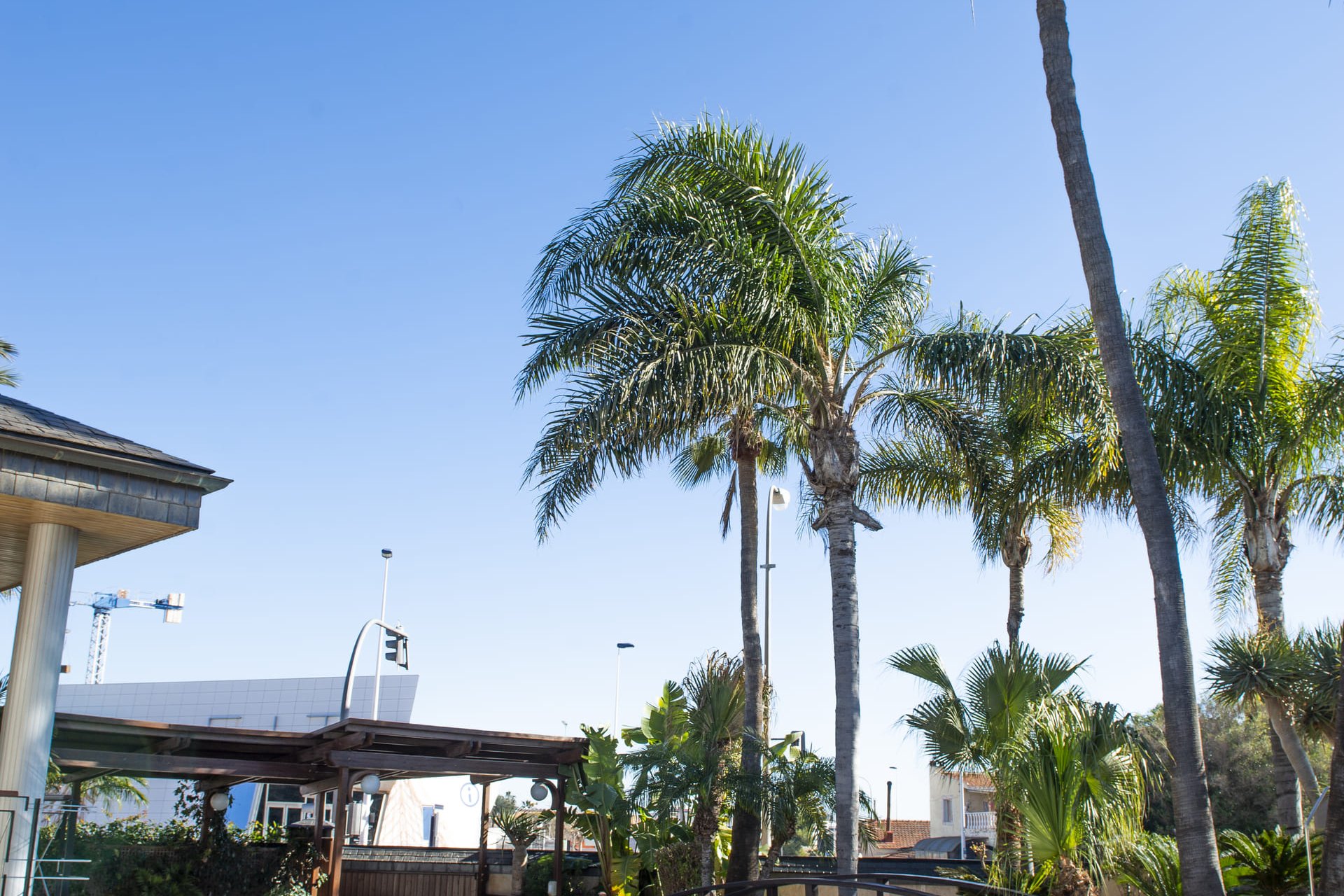 Nybyggnation - Villa -
San Pedro del Pinatar