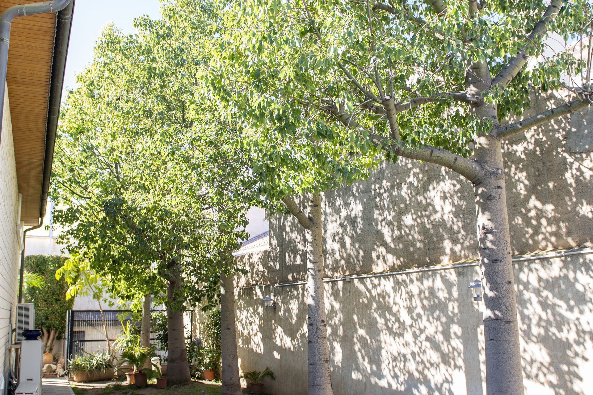 Nybyggnation - Villa -
San Pedro del Pinatar