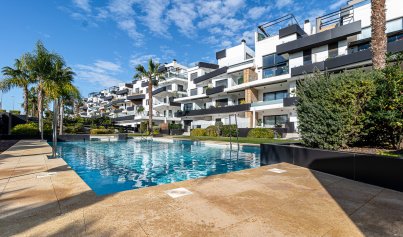 Penthouse - Herverkoop - Los Dolses -
                Los Dolses