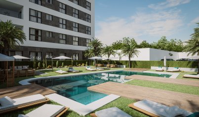 Penthouse - New Build - Guardamar del Segura -
                Guardamar del Segura