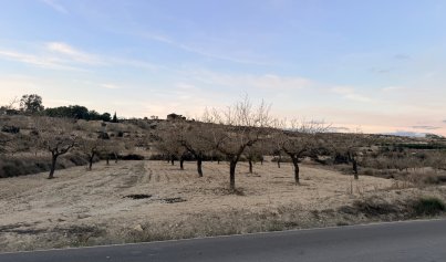 Plot - Återförsäljning - Torremendo -
                Costa Blanca