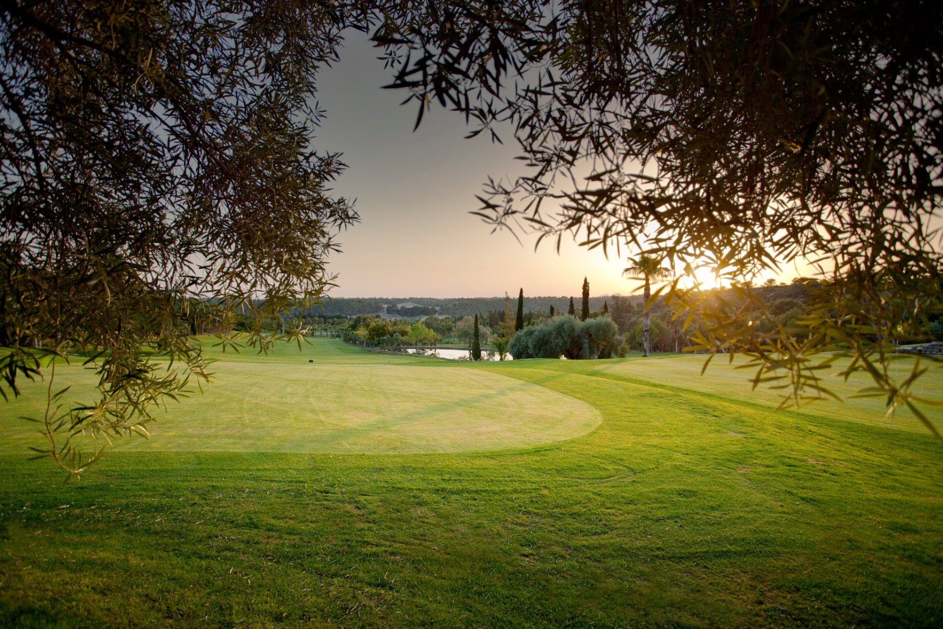 Resale - Apartment -
Campoamor