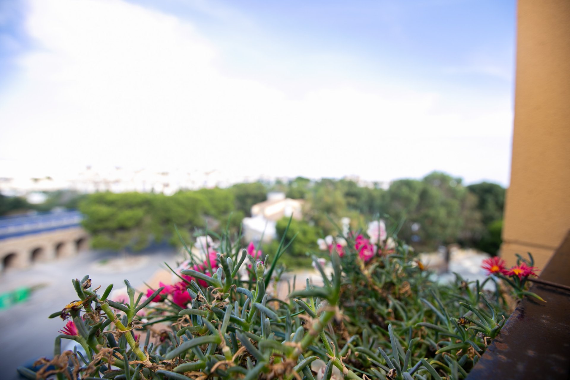 Resale - Apartment -
La Zenia - Beachside