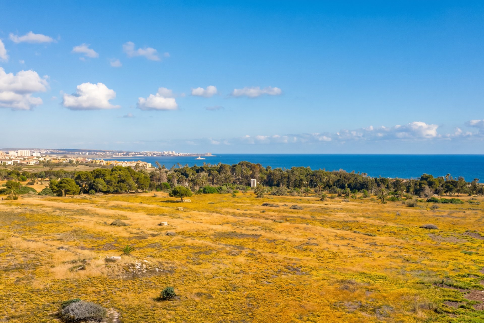 Resale - Apartment -
Orihuela Costa - Punta Prima